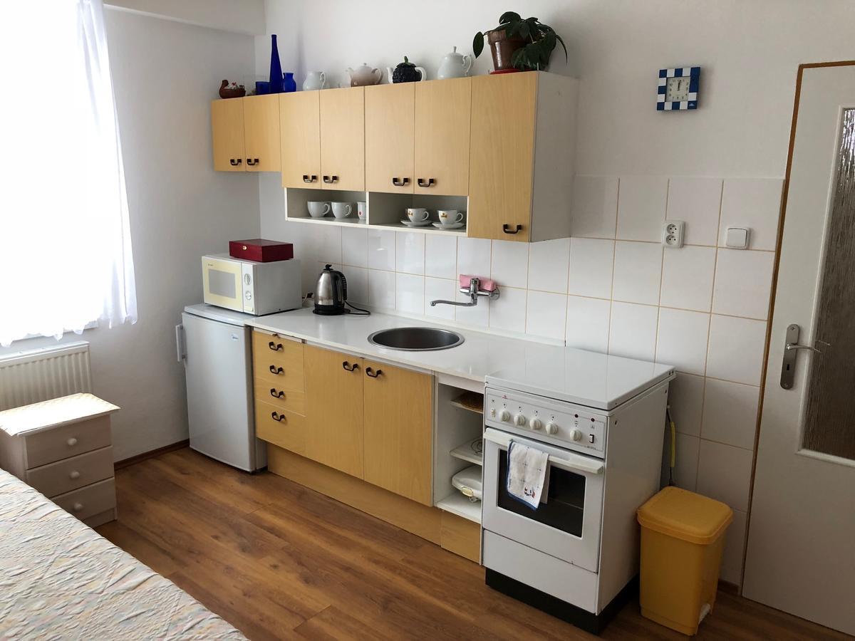 Pension Na Vyhlidce Český Krumlov المظهر الخارجي الصورة